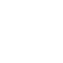 SSD & NVMe Storage
